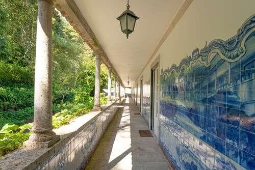 PF25564 - Quinta 4.1 ha, Galamares, Sintra - Imagem 42