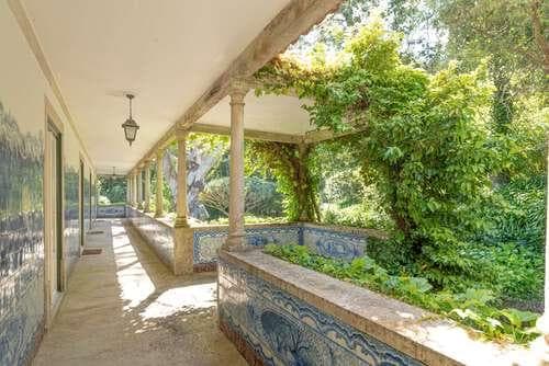 PF25564 - Quinta 4.1 ha, Galamares, Sintra - Imagem 45