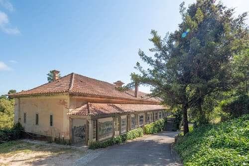 PF25564 - Quinta 4.1 ha, Galamares, Sintra - Imagem 44