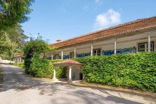 PF25564 - Quinta 4.1 ha, Galamares, Sintra - Imagem 53