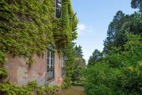 PF25564 - Quinta 4.1 ha, Galamares, Sintra - Imagem 57