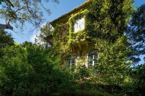 PF25564 - Quinta 4.1 ha, Galamares, Sintra - Imagem 61