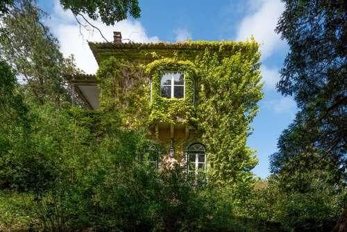 PF25564 - Quinta 4.1 ha, Galamares, Sintra - Imagem 60