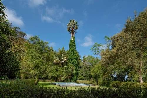 PF25564 - Quinta 4.1 ha, Galamares, Sintra - Imagem 74