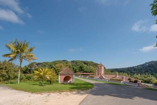 PF25564 - Quinta 4.1 ha, Galamares, Sintra - Imagem 66