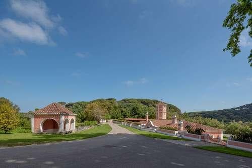 PF25564 - Quinta 4.1 ha, Galamares, Sintra - Imagem 63