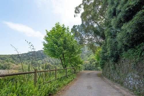 PF25564 - Quinta 4.1 ha, Galamares, Sintra - Imagem 86