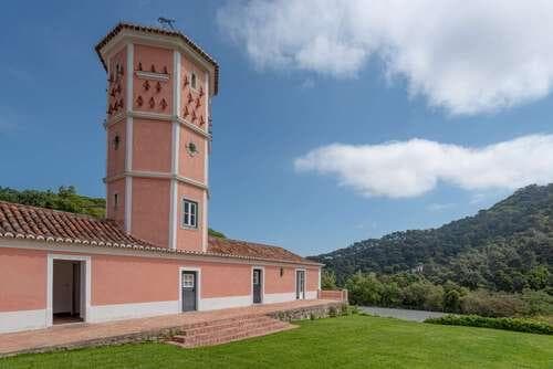 PF25564 - Quinta 4.1 ha, Galamares, Sintra - Imagem 78