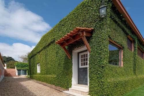 PF25564 - Quinta 4.1 ha, Galamares, Sintra - Imagem 102