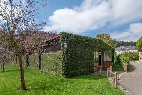 PF25564 - Quinta 4.1 ha, Galamares, Sintra - Imagem 105