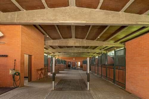 PF25564 - Quinta 4.1 ha, Galamares, Sintra - Imagem 95