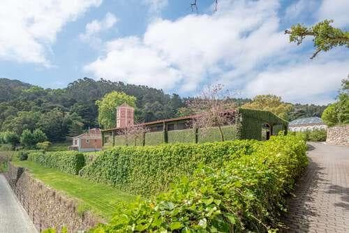 PF25564 - Quinta 4.1 ha, Galamares, Sintra - Imagem 99