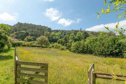 PF25564 - Quinta 4.1 ha, Galamares, Sintra - Imagem 103