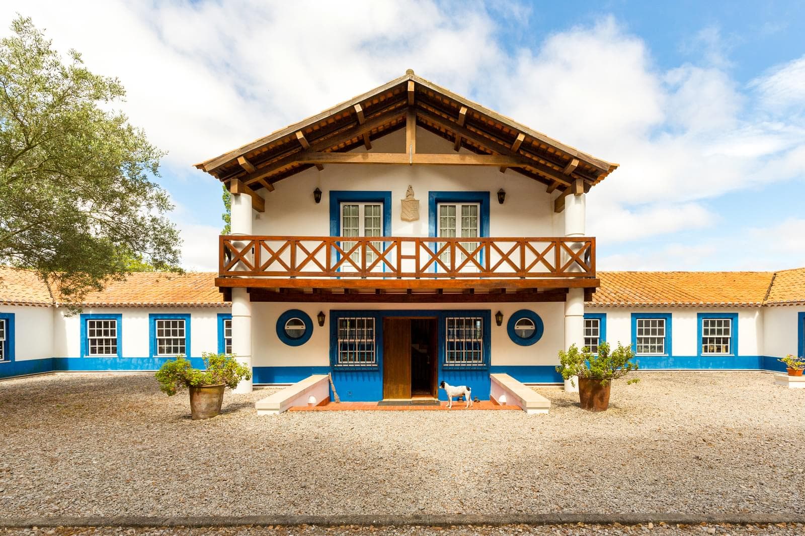 Herdade 18.0 ha, Vale Verde, Santiago do Cacem - Imagem 4