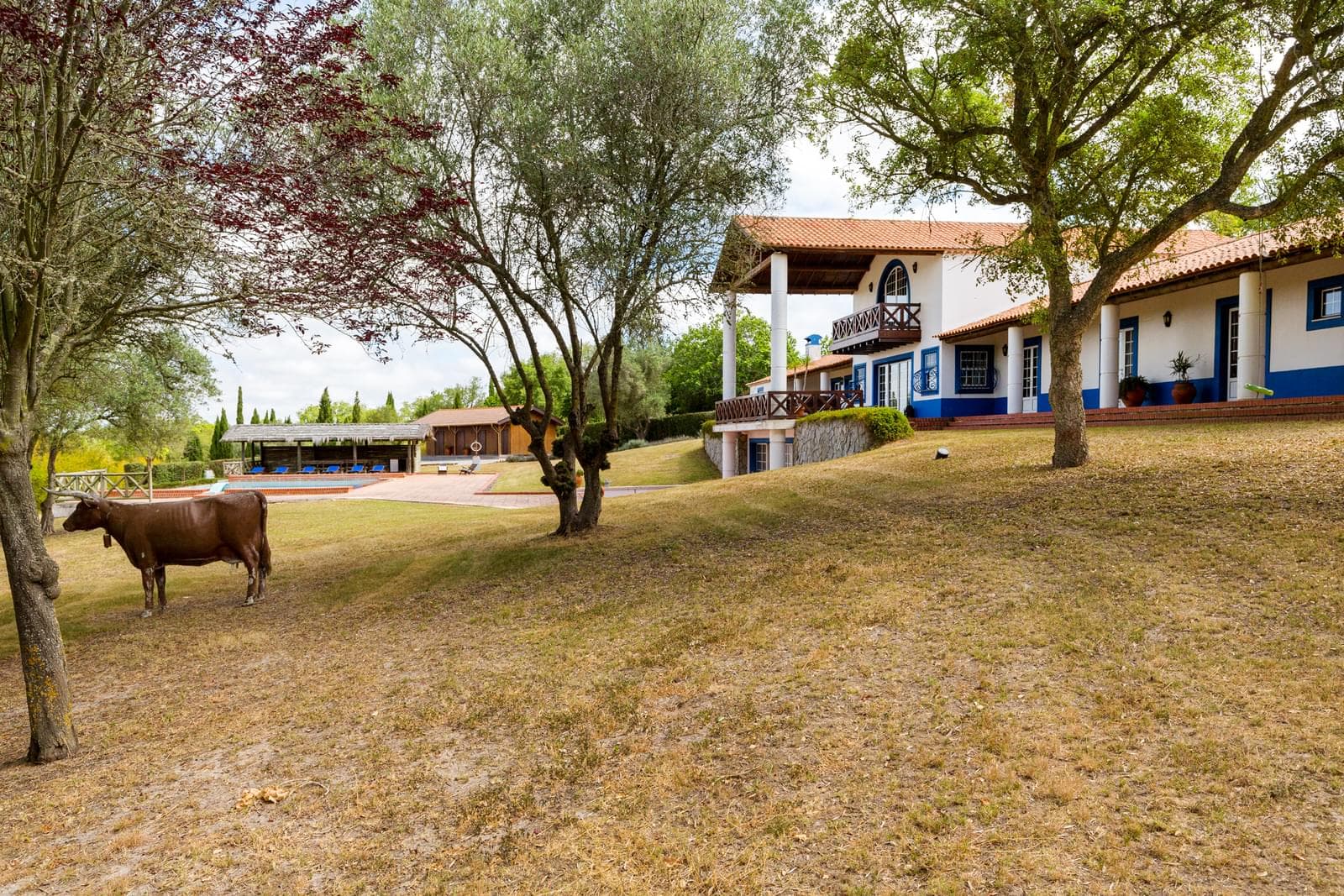 Herdade 18.0 ha, Vale Verde, Santiago do Cacem - Imagem 3