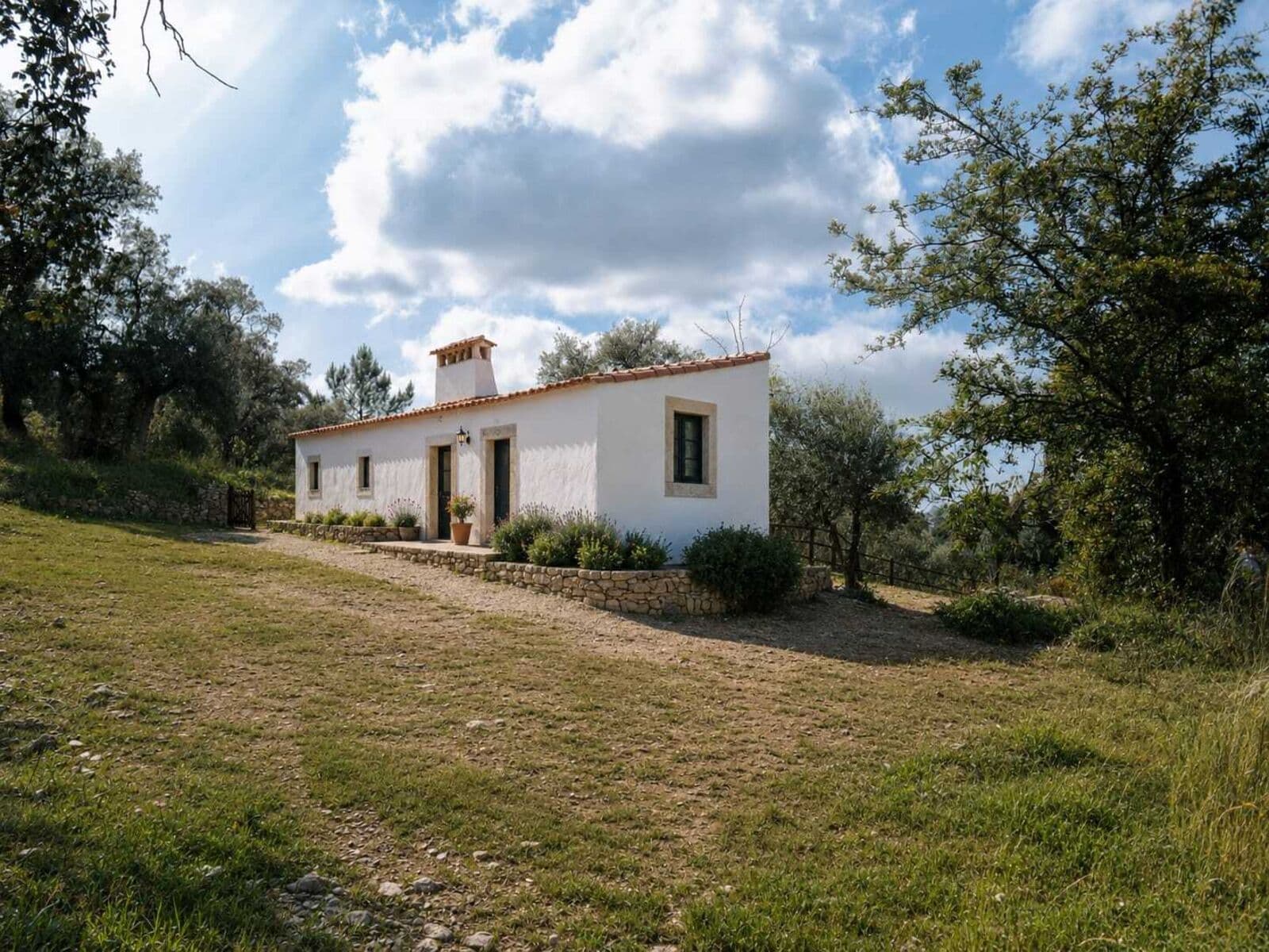 Homestead 10.0 ha, Penha, Portalegre - Image 44