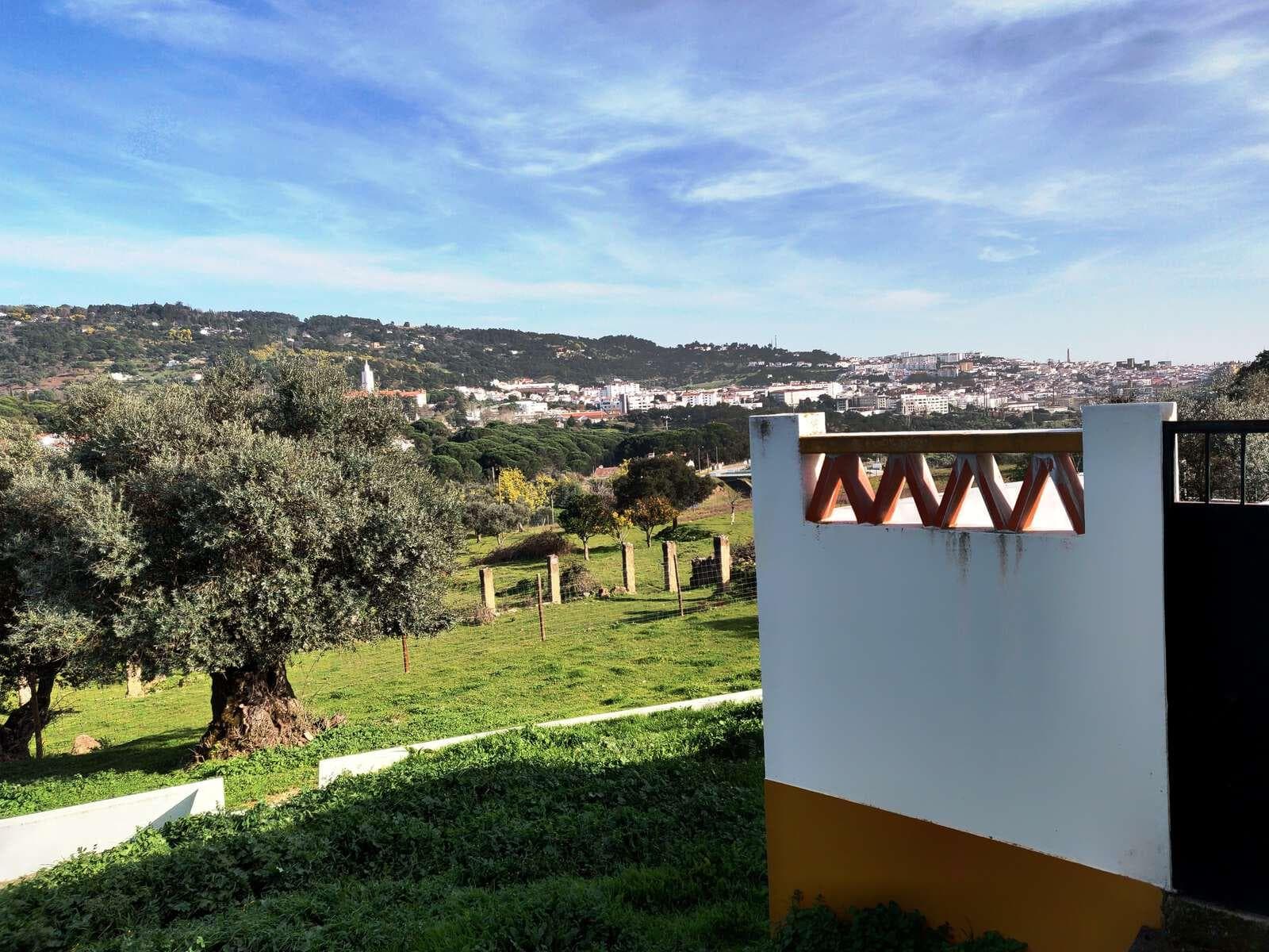 Homestead 10.0 ha, Penha, Portalegre - Image 5