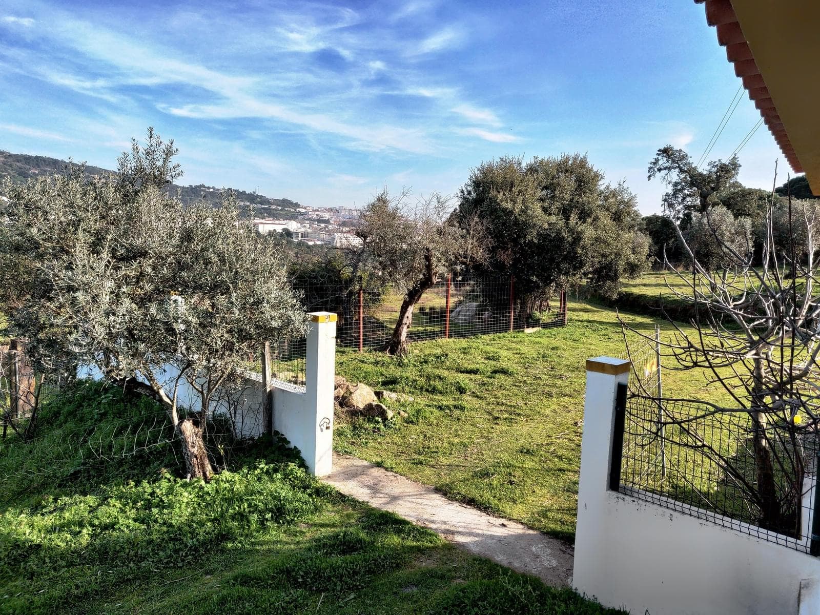 Homestead 10.0 ha, Penha, Portalegre - Image 40