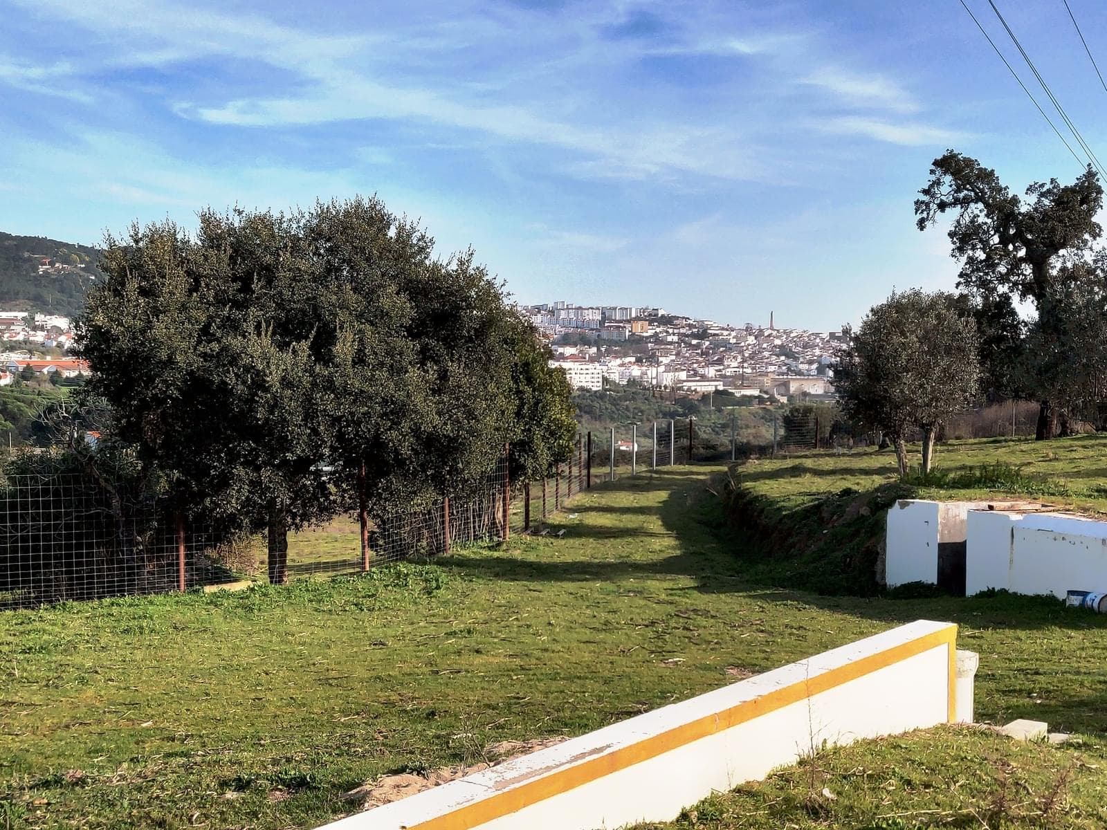 Homestead 10.0 ha, Penha, Portalegre - Image 6