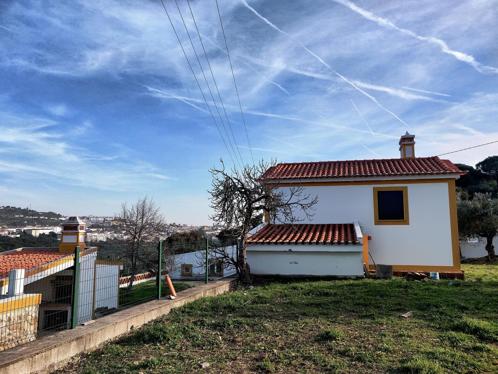 Homestead 10.0 ha, Penha, Portalegre - Image 8