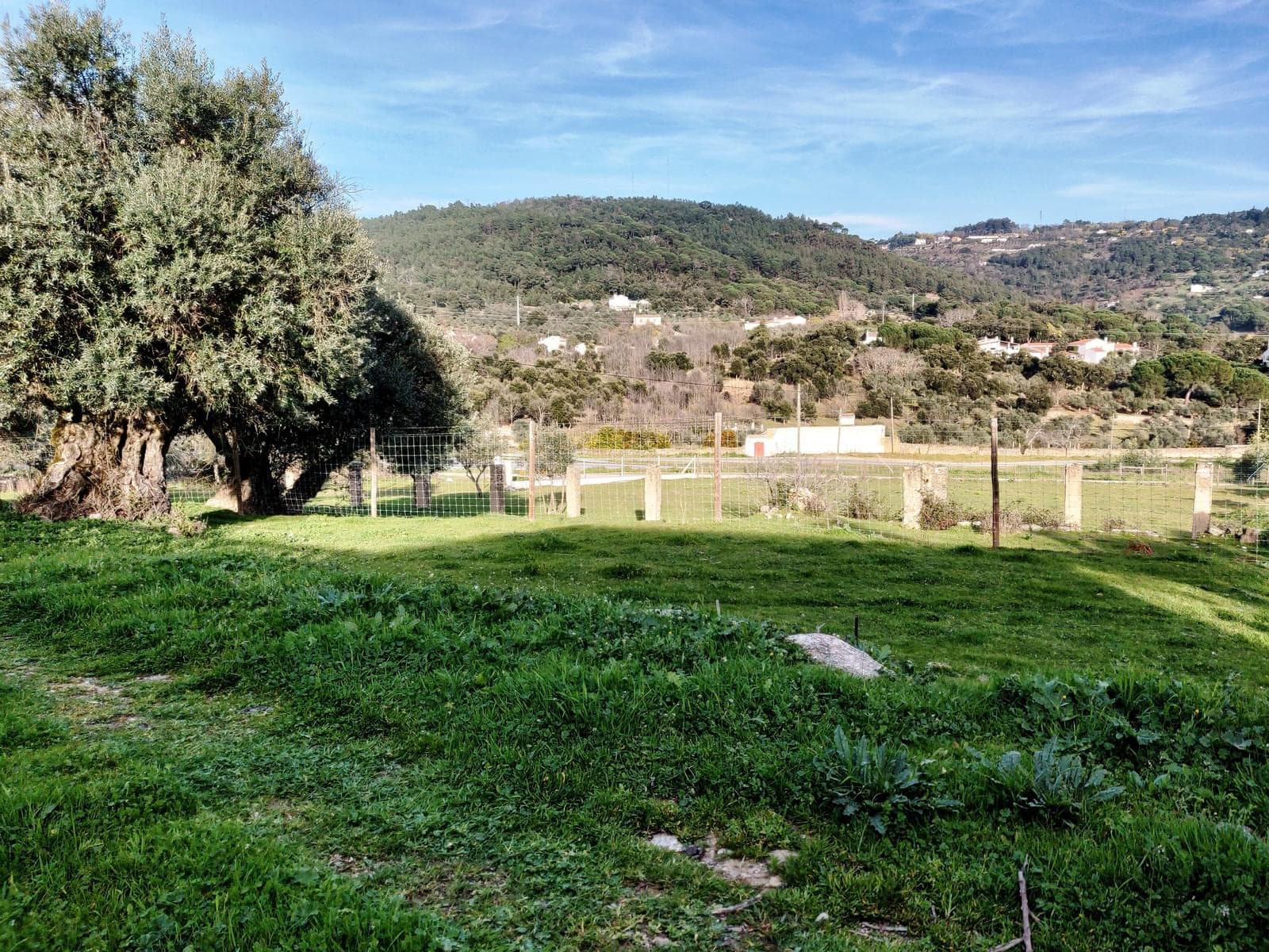 Homestead 10.0 ha, Penha, Portalegre - Image 44