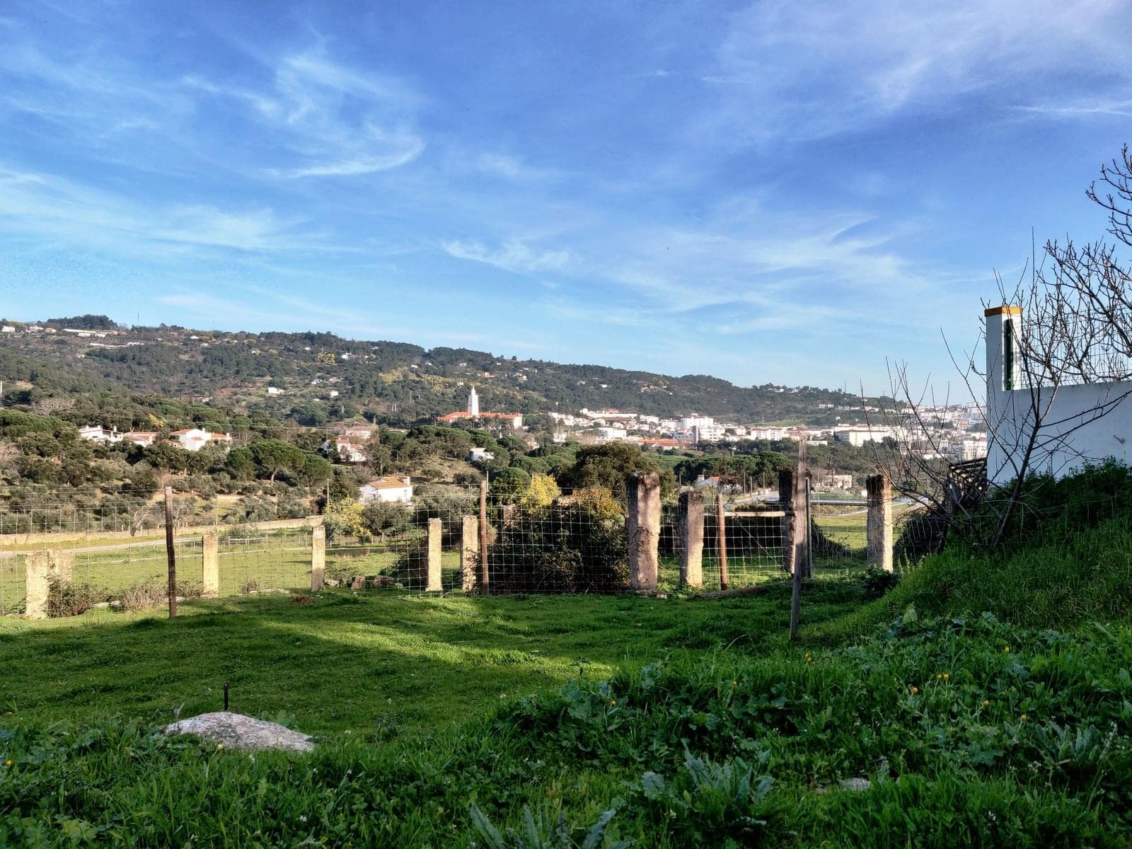 Homestead 10.0 ha, Penha, Portalegre - Image 51