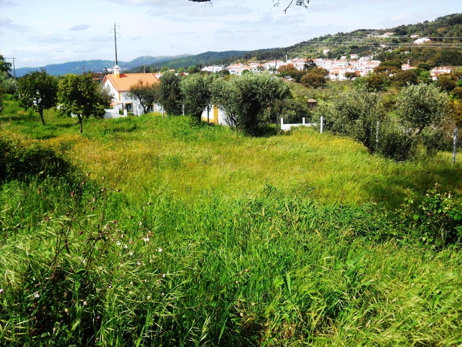 Homestead 10.0 ha, Penha, Portalegre - Image 37