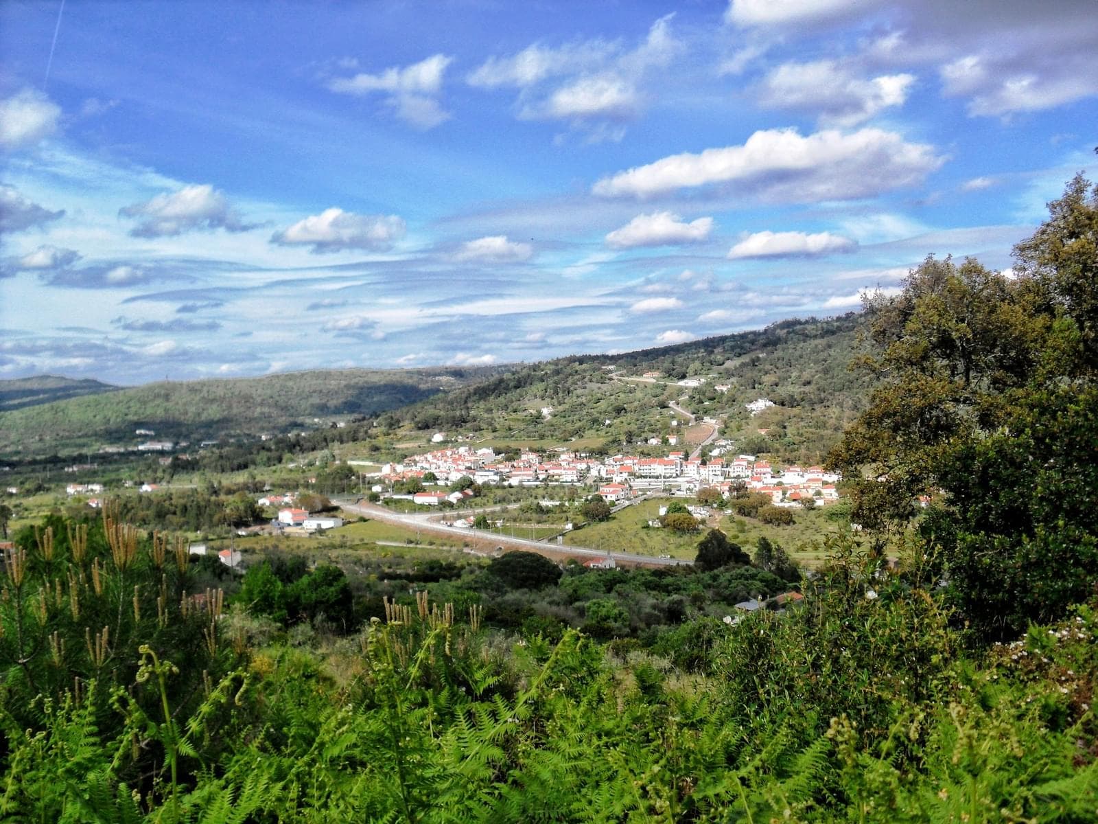 Homestead 10.0 ha, Penha, Portalegre - Image 4