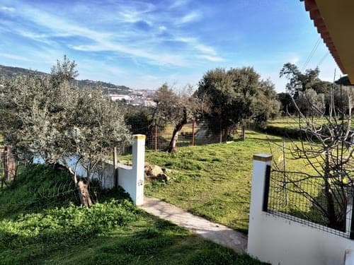 PF27346 - Herdade 10.0 ha, Penha, Portalegre - Imagem 40