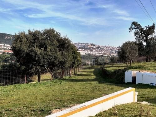 PF27346 - Herdade 10.0 ha, Penha, Portalegre - Imagem 6