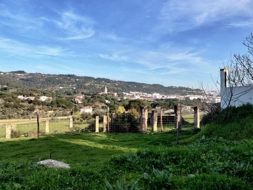 PF27346 - Herdade 10.0 ha, Penha, Portalegre - Imagem 51