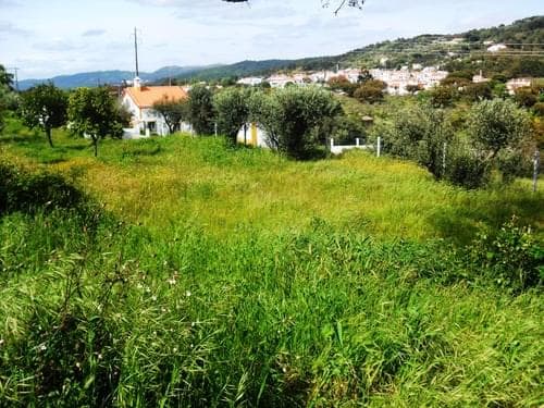 PF27346 - Herdade 10.0 ha, Penha, Portalegre - Imagem 37