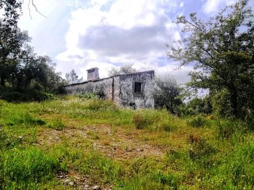 PF27346 - Herdade 10.0 ha, Penha, Portalegre - Imagem 34