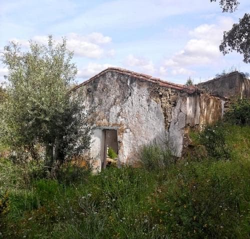 PF27346 - Herdade 10.0 ha, Penha, Portalegre - Imagem 33