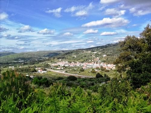 PF27346 - Herdade 10.0 ha, Penha, Portalegre - Imagem 4