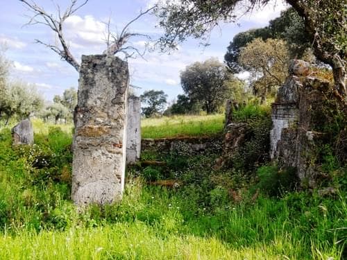 PF27346 - Herdade 10.0 ha, Penha, Portalegre - Imagem 38