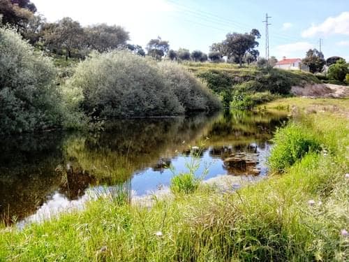 PF27346 - Herdade 10.0 ha, Penha, Portalegre - Imagem 36