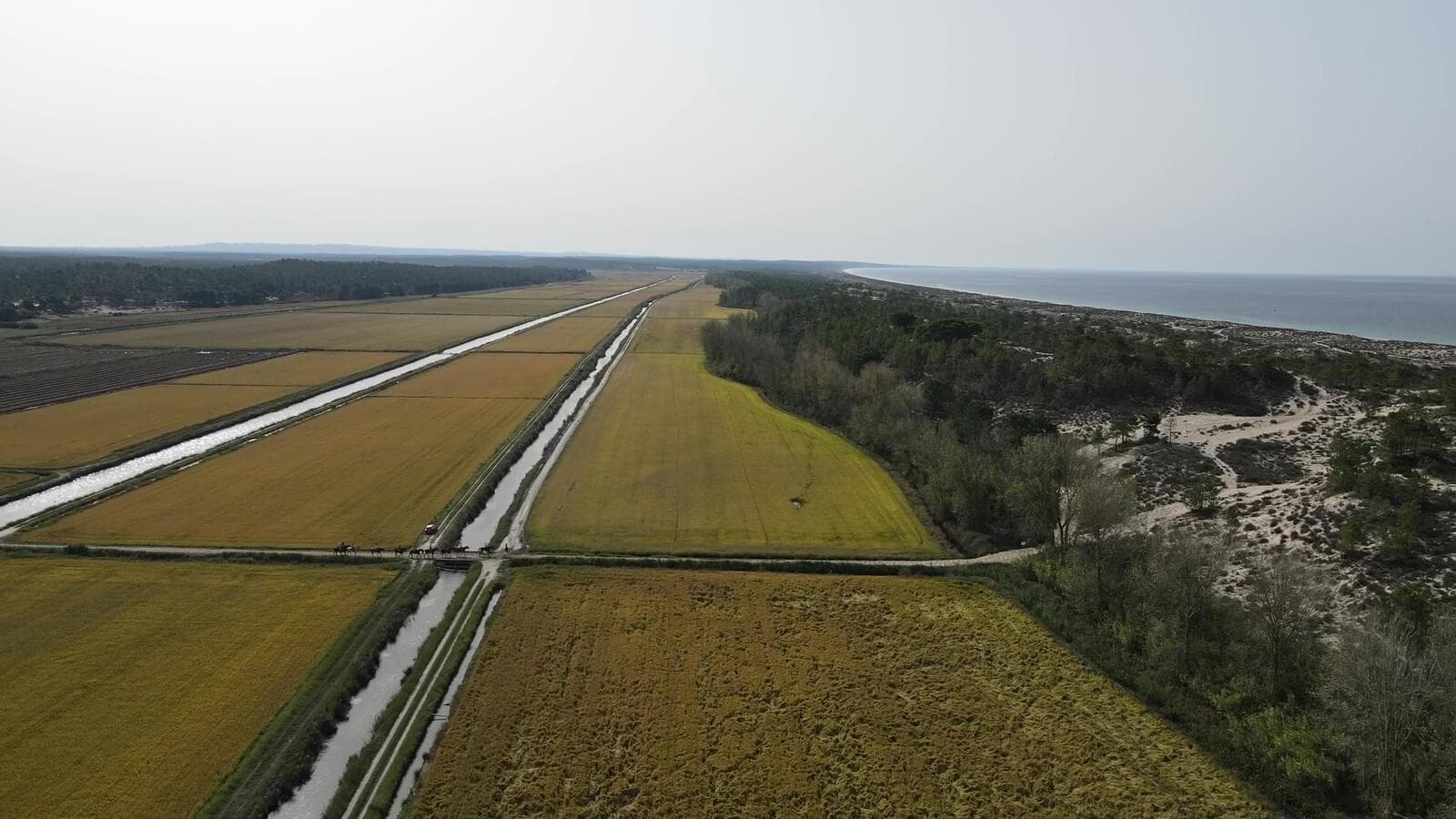 Lote 713 m2, Possanco, Alcacer do Sal - Imagem 23