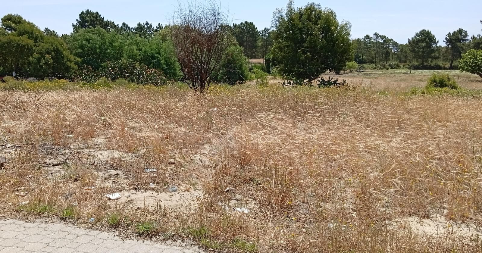 Lote 713 m2, Possanco, Alcacer do Sal - Imagem 12