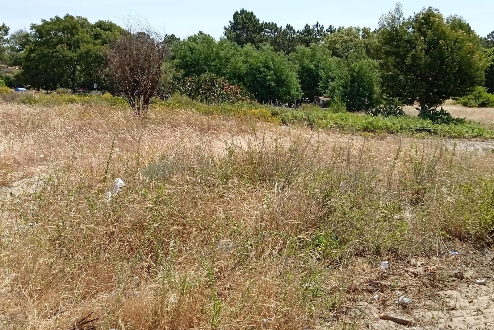 Lote 713 m2, Possanco, Alcacer do Sal - Imagem 14