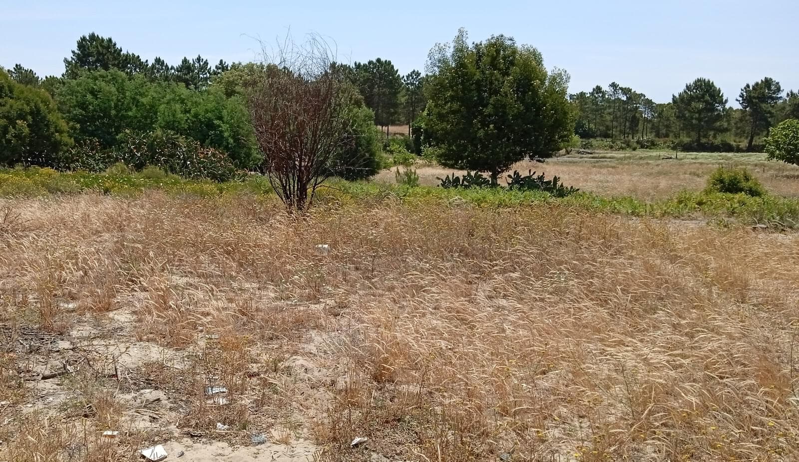 Lote 713 m2, Possanco, Alcacer do Sal - Imagem 17