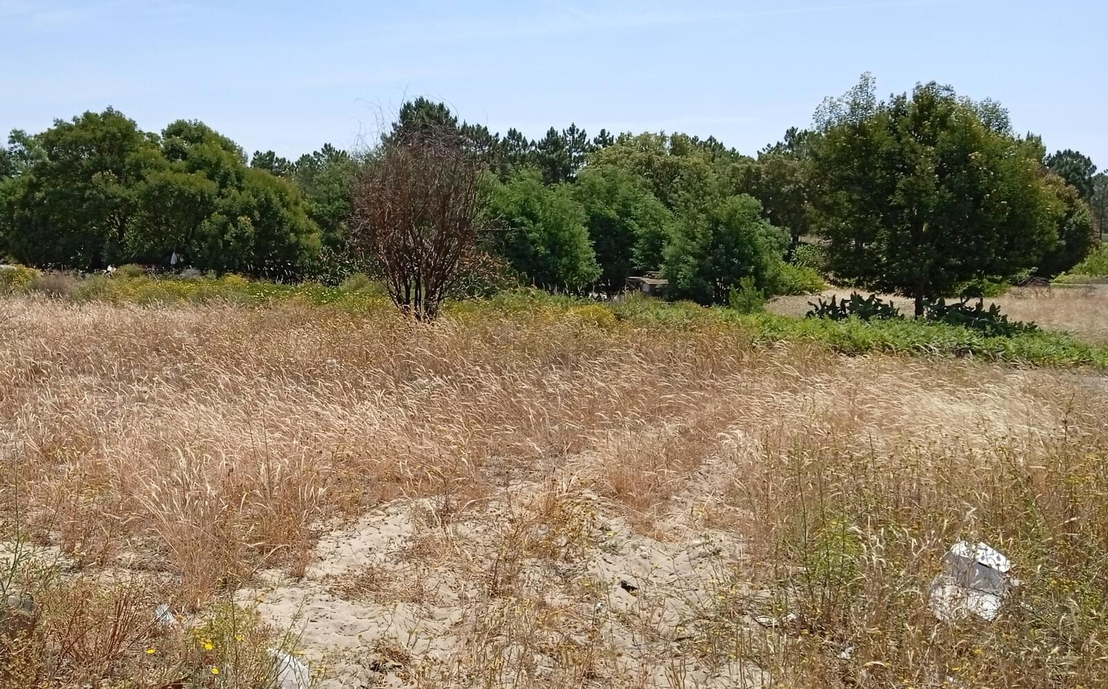 Lote 713 m2, Possanco, Alcacer do Sal - Imagem 15