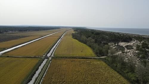 PF27923 - Lote 713 m2, Possanco, Alcacer do Sal - Imagem 23