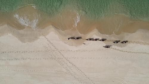 PF27923 - Lote 713 m2, Possanco, Alcacer do Sal - Imagem 21