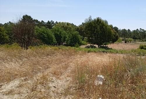 PF27923 - Lote 713 m2, Possanco, Alcacer do Sal - Imagem 13