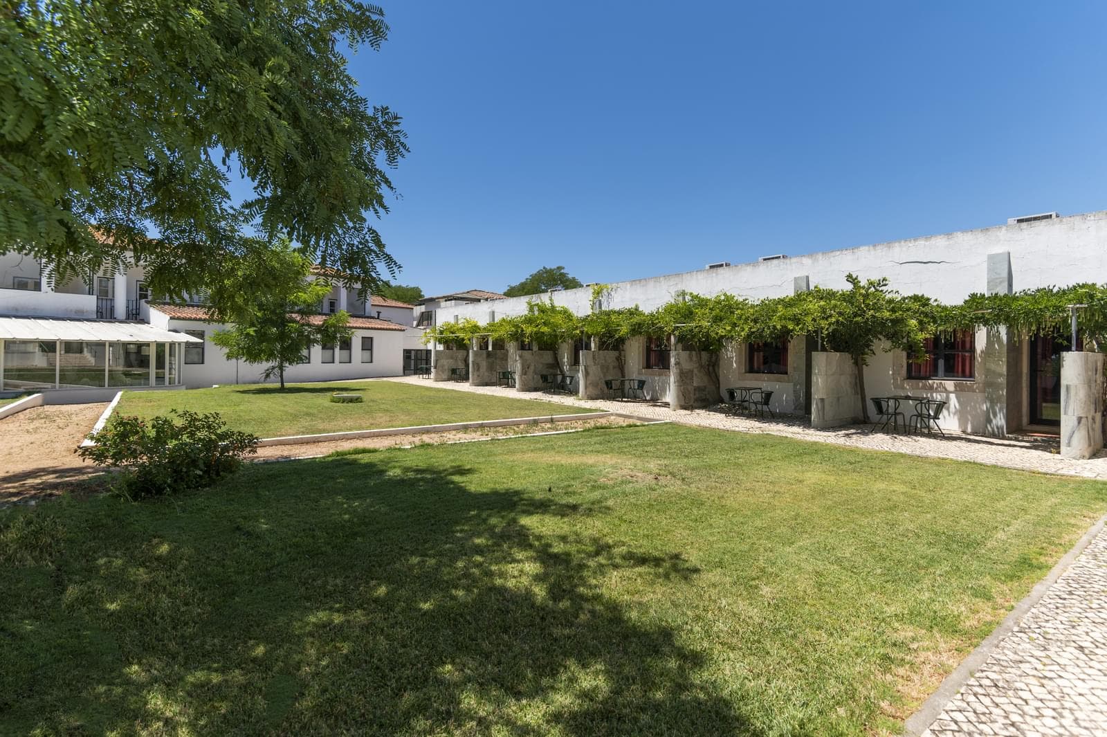 Ferme 16.3 ha, Elvas - Image 23