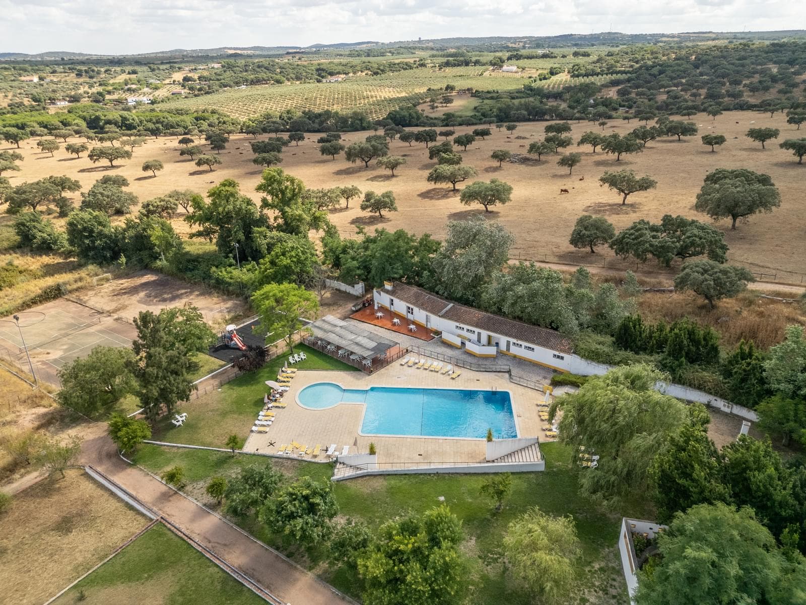 Ferme 16.3 ha, Elvas - Image 37