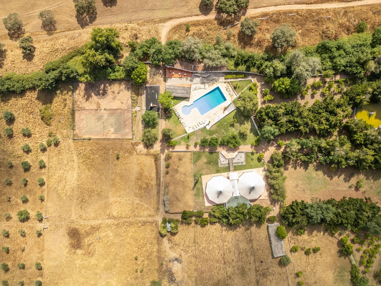 Ferme 16.3 ha, Elvas - Image 38