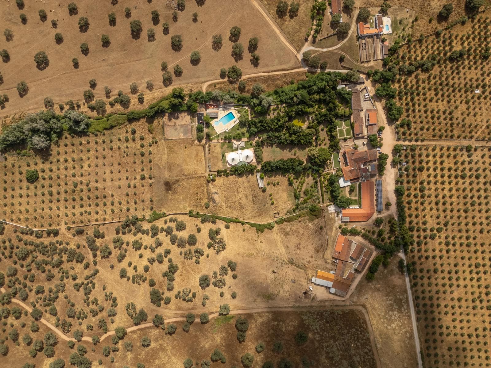 Ferme 16.3 ha, Elvas - Image 42