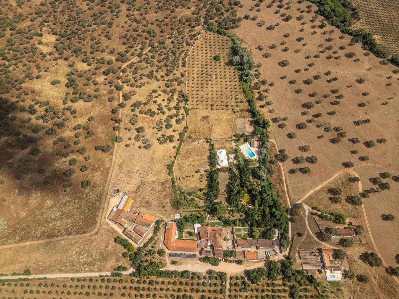 Ferme 16.3 ha, Elvas - Image 43